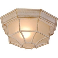 Потолочные уличные светильники